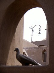 Ceramic dove on a window sill