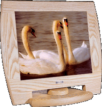 monitor en madera