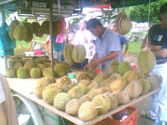 Anson Road Durians
