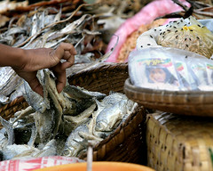 Burma - Bagan - market dried fish w flies