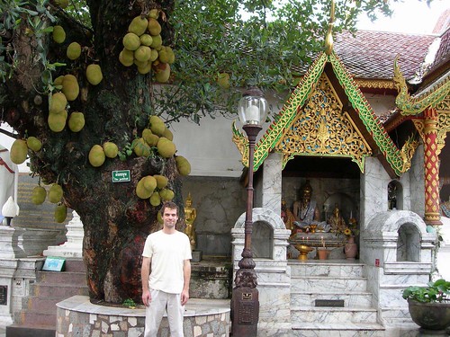 Jackfruit tree at Wat Phrathat Doi Suthep